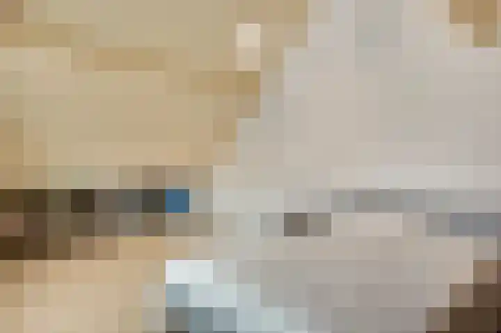 Vlasrootsingel 33 Heythuysen thumbnail 35