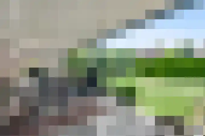 Vlasrootsingel 33 Heythuysen thumbnail 36
