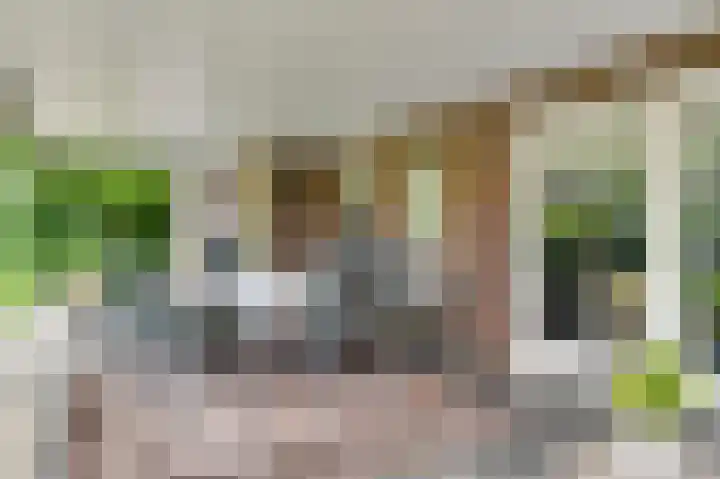 Vlasrootsingel 33 Heythuysen thumbnail 37