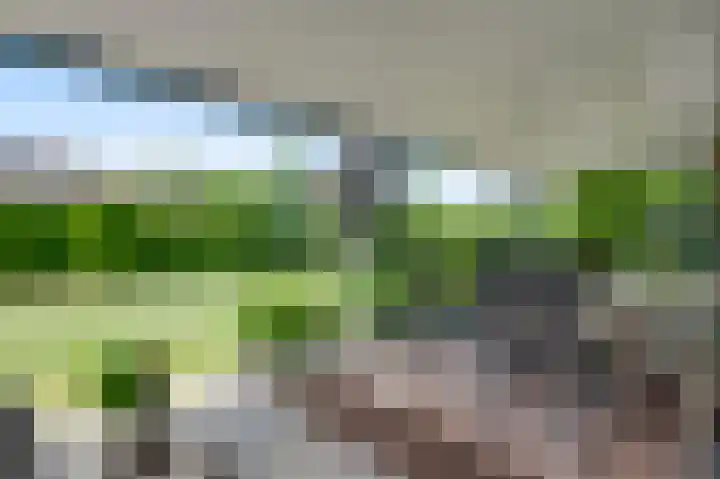 Vlasrootsingel 33 Heythuysen thumbnail 38