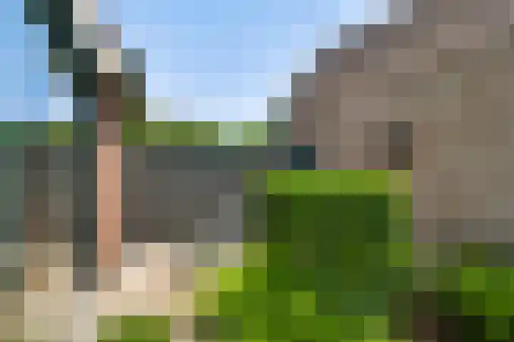 Vlasrootsingel 33 Heythuysen thumbnail 39