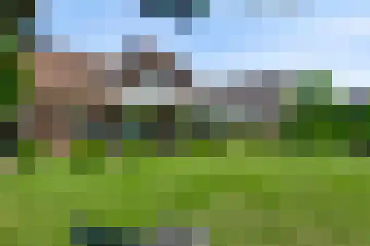 Vlasrootsingel 33 Heythuysen thumbnail 42