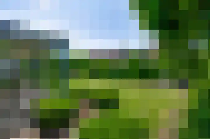 Vlasrootsingel 33 Heythuysen thumbnail 43