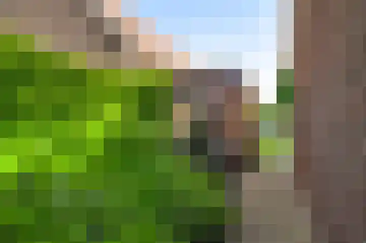 Vlasrootsingel 33 Heythuysen thumbnail 44