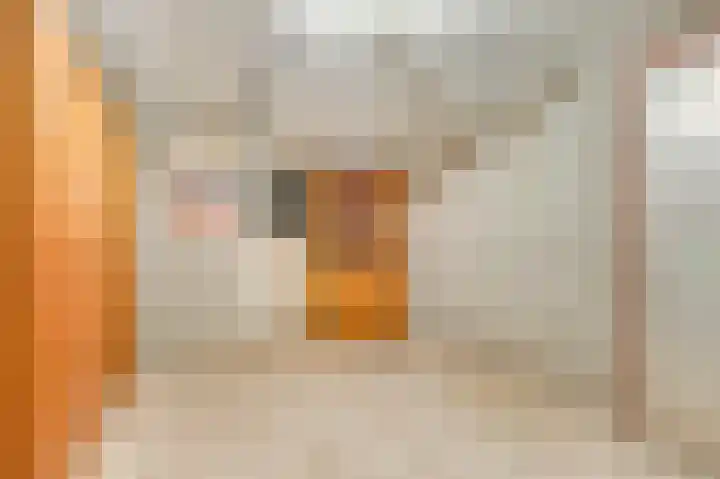 Vlasrootsingel 33 Heythuysen thumbnail 5
