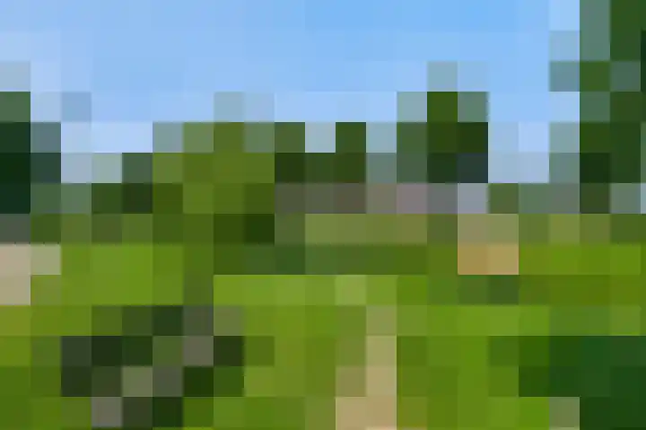 Vlasrootsingel 33 Heythuysen thumbnail 53