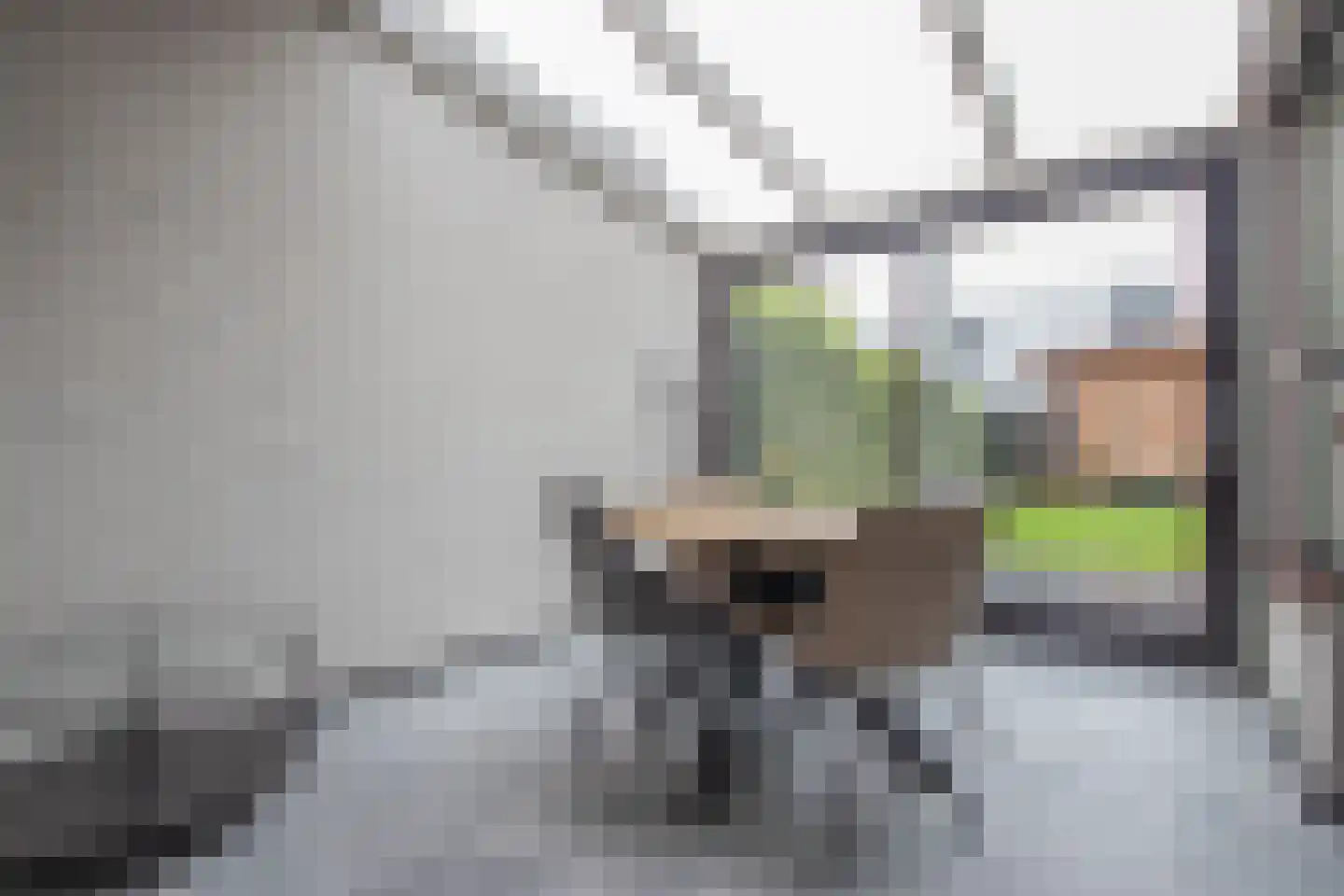 Vlasrootsingel 9 Heythuysen thumbnail 12