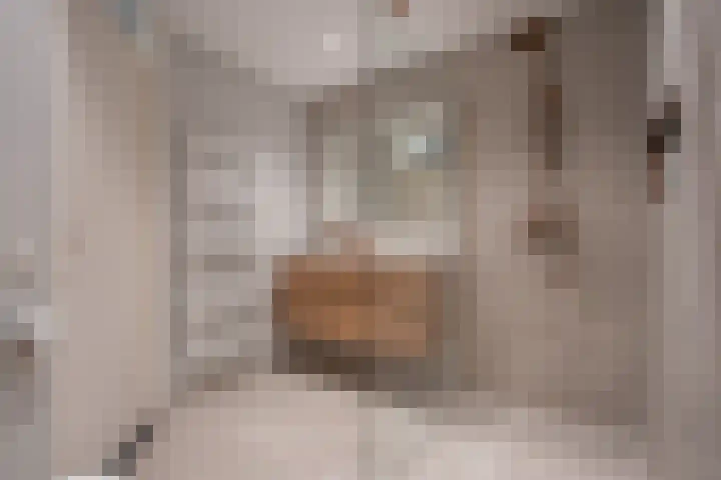 Vlasrootsingel 9 Heythuysen thumbnail 15