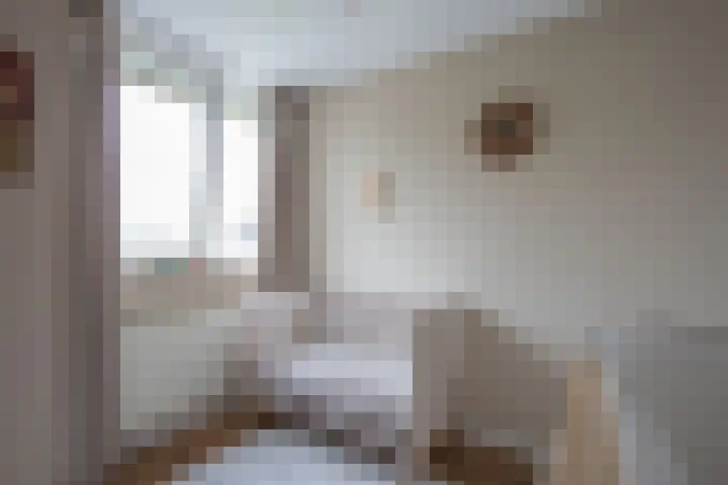 Vlasrootsingel 9 Heythuysen thumbnail 21