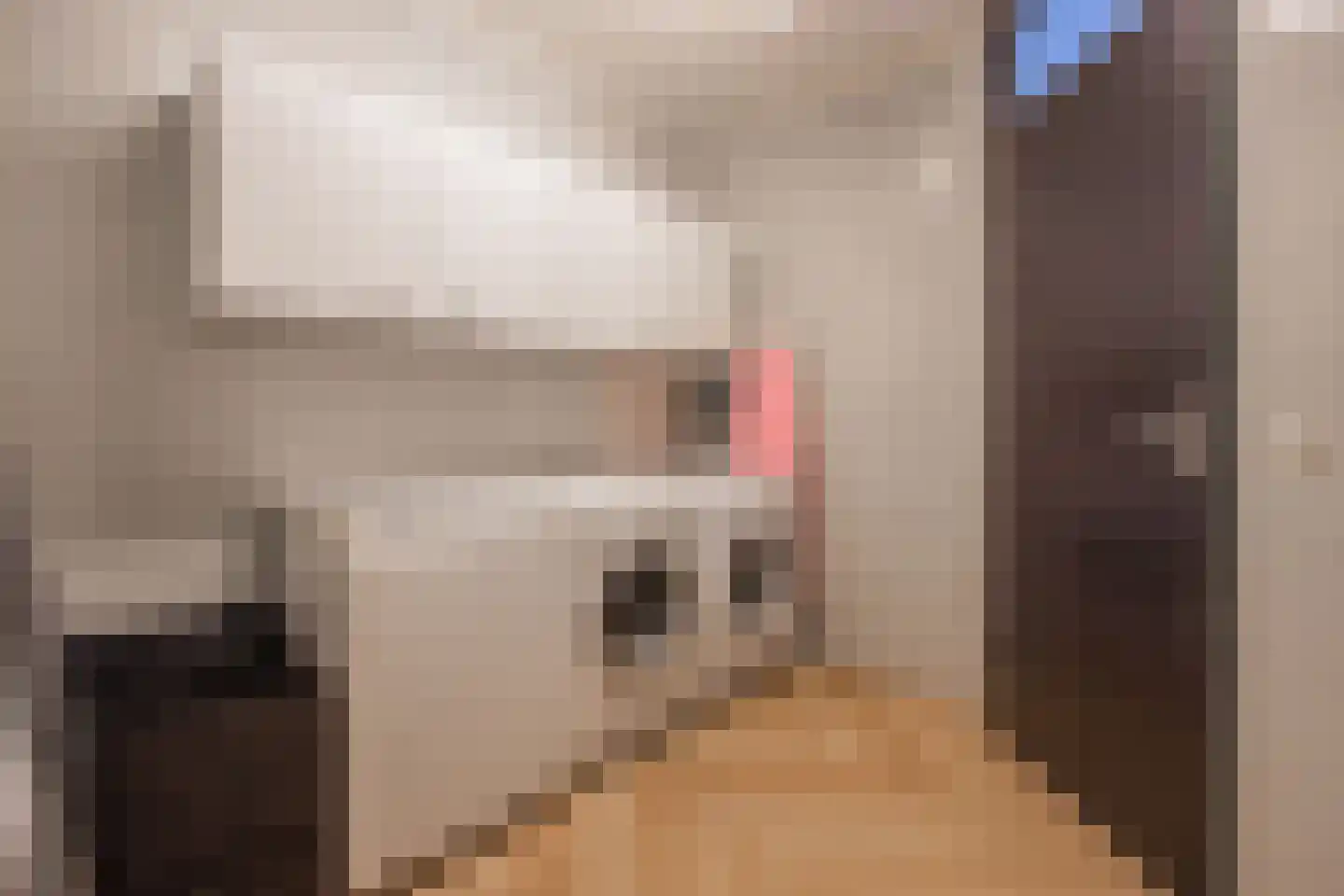 Vlasrootsingel 9 Heythuysen thumbnail 26