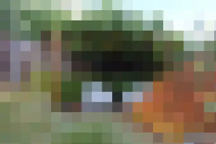Vlasrootweg 12 Groesbeek thumbnail 15