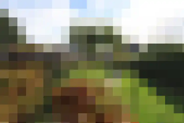 Vlasrootweg 12 Groesbeek thumbnail 16