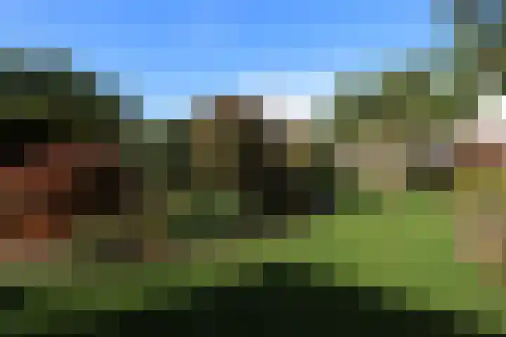 Vlasrootweg 12 Groesbeek thumbnail 17