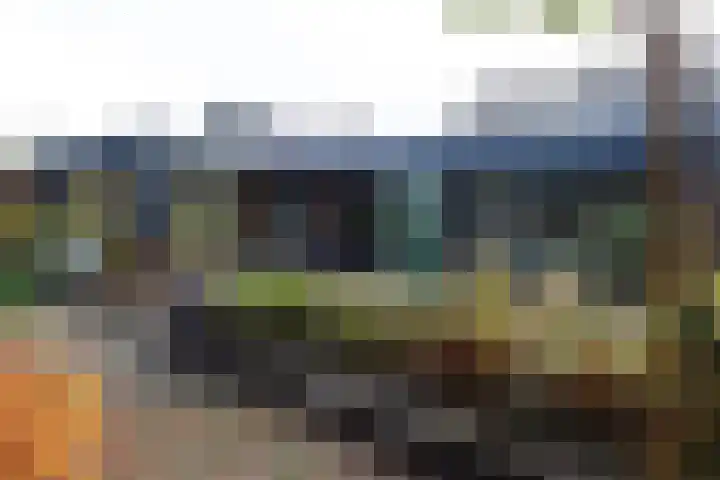 Vlasrootweg 12 Groesbeek thumbnail 9