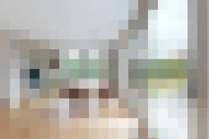 Vlasselt 13 Zevenbergen thumbnail 18
