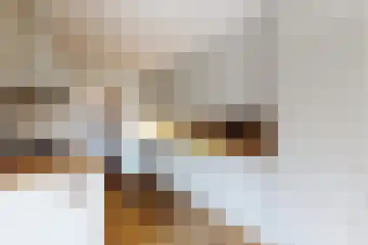 Vlasselt 13 Zevenbergen thumbnail 4
