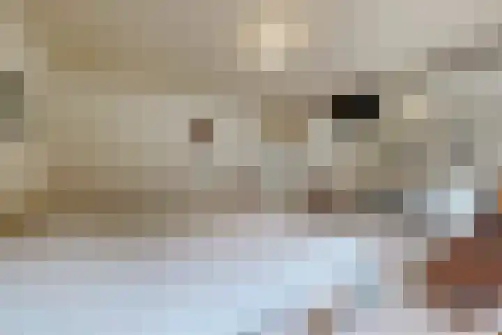 Vlasselt 13 Zevenbergen thumbnail 49