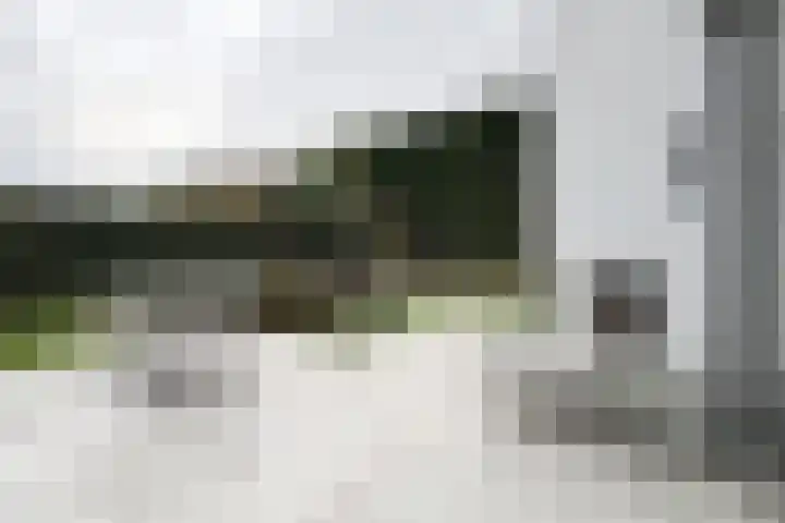 Vlasselt 13 Zevenbergen thumbnail 51
