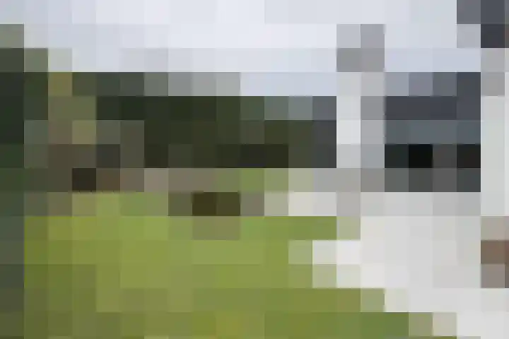 Vlasselt 13 Zevenbergen thumbnail 52