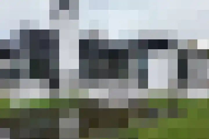 Vlasselt 13 Zevenbergen thumbnail 54