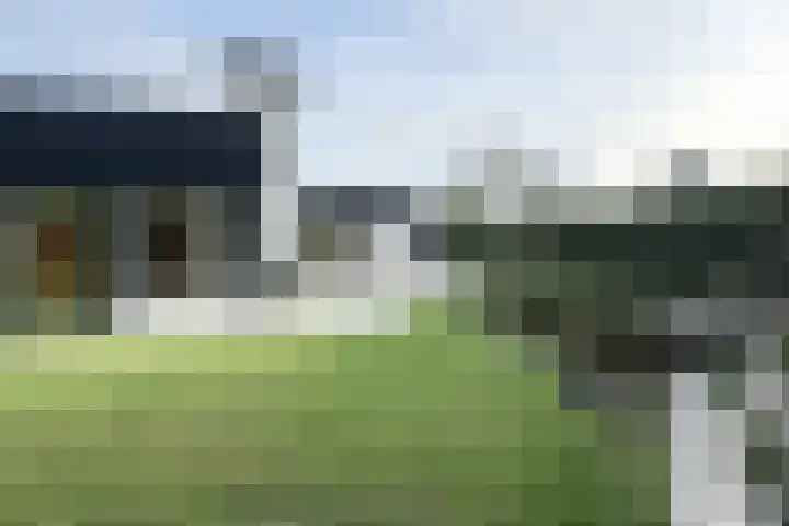 Vlasselt 13 Zevenbergen thumbnail 56