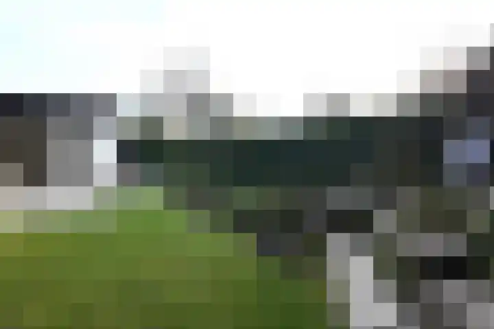 Vlasselt 13 Zevenbergen thumbnail 57