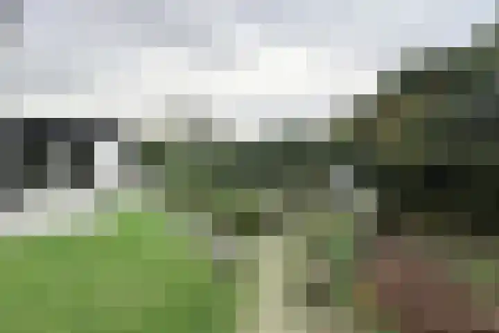 Vlasselt 13 Zevenbergen thumbnail 58