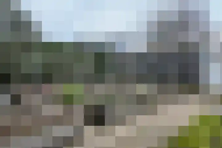 Vlasselt 13 Zevenbergen thumbnail 60