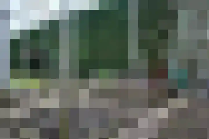 Vlasselt 13 Zevenbergen thumbnail 61