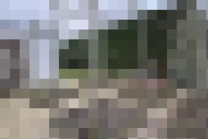 Vlasselt 13 Zevenbergen thumbnail 62