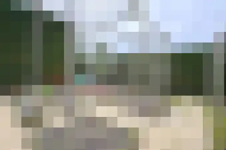 Vlasselt 13 Zevenbergen thumbnail 63