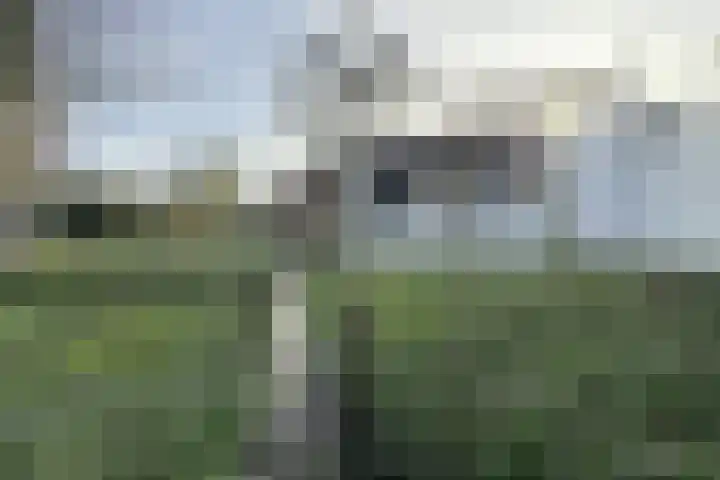 Vlasselt 13 Zevenbergen thumbnail 64