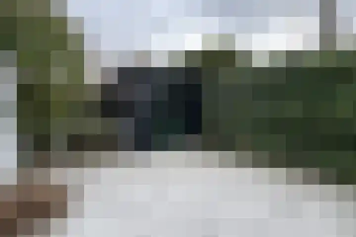 Vlasselt 13 Zevenbergen thumbnail 66