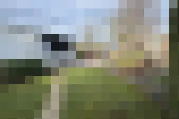 Vlasselt 13 Zevenbergen thumbnail 67