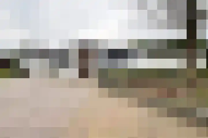 Vlasselt 13 Zevenbergen thumbnail 68