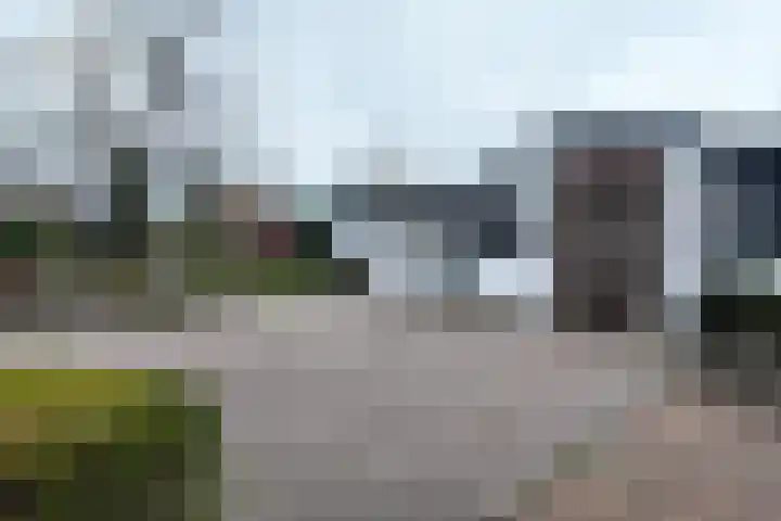 Vlasselt 13 Zevenbergen thumbnail 69