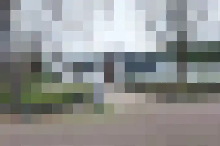 Vlasselt 13 Zevenbergen thumbnail 70