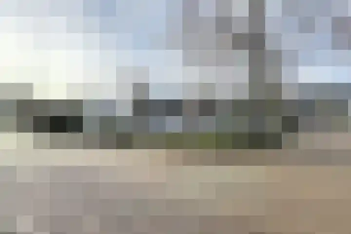 Vlasselt 13 Zevenbergen thumbnail 74