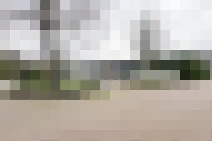 Vlasselt 13 Zevenbergen thumbnail 75