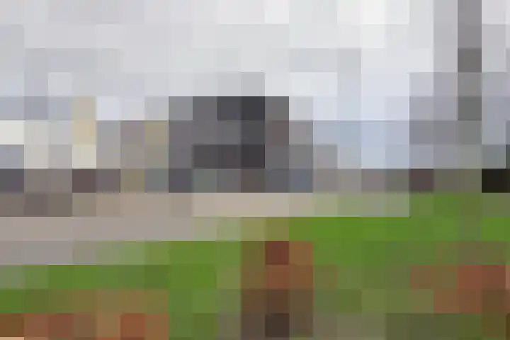 Vlasselt 13 Zevenbergen thumbnail 76