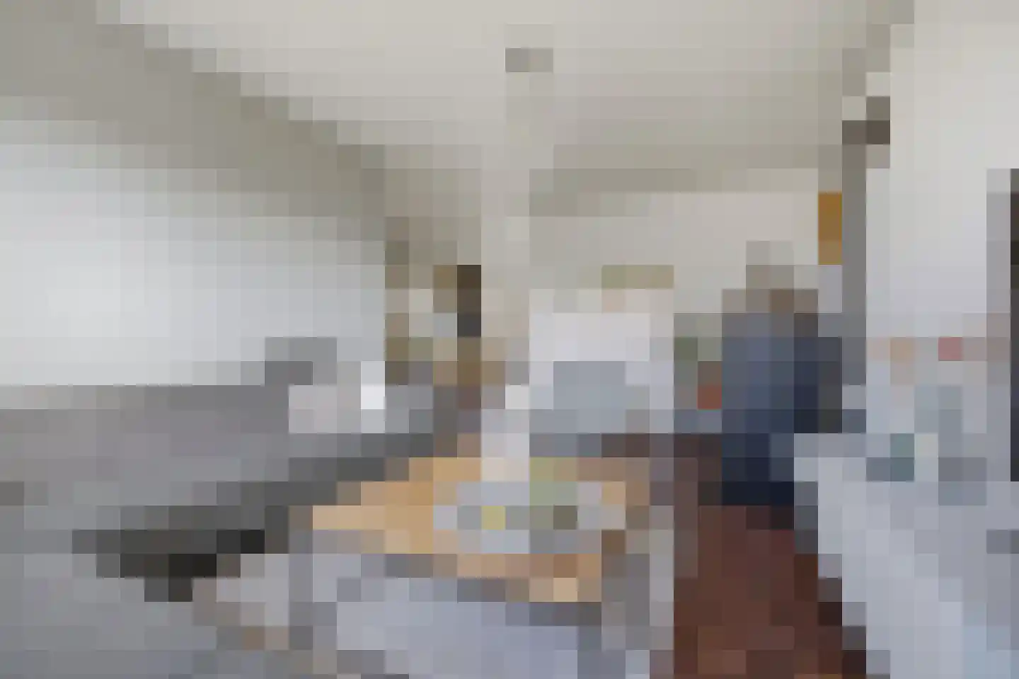 Vlasselt 3 Wagenberg thumbnail 10