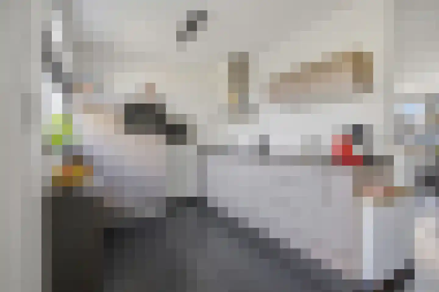 Vlasselt 3 Wagenberg thumbnail 15