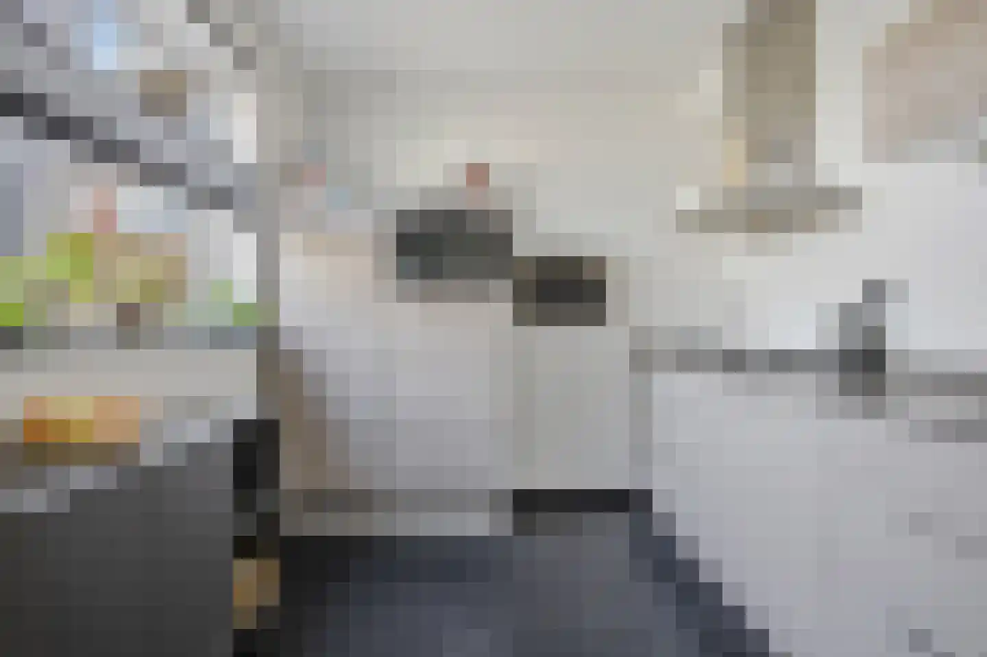 Vlasselt 3 Wagenberg thumbnail 16