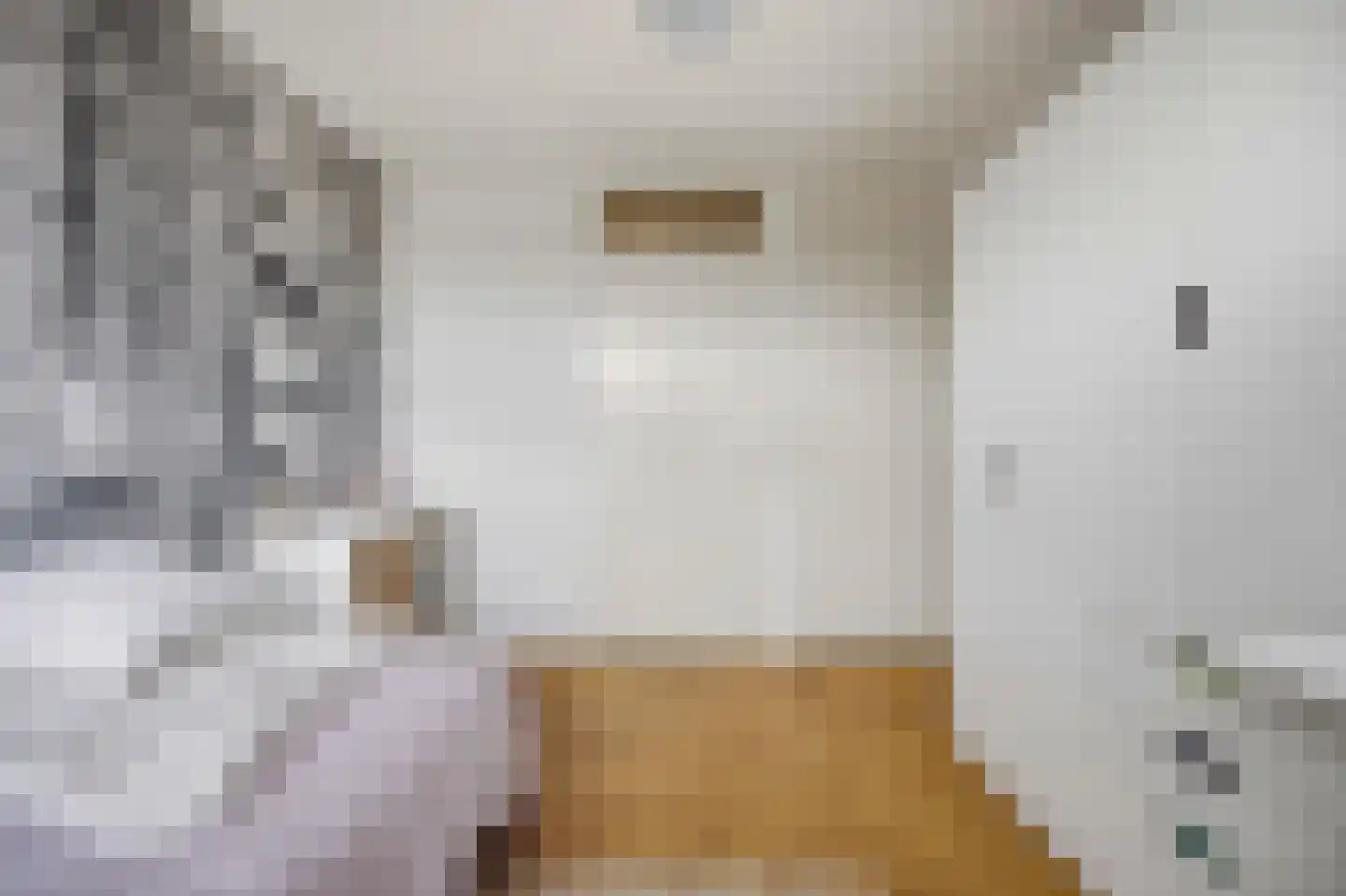 Vlasselt 3 Wagenberg thumbnail 22