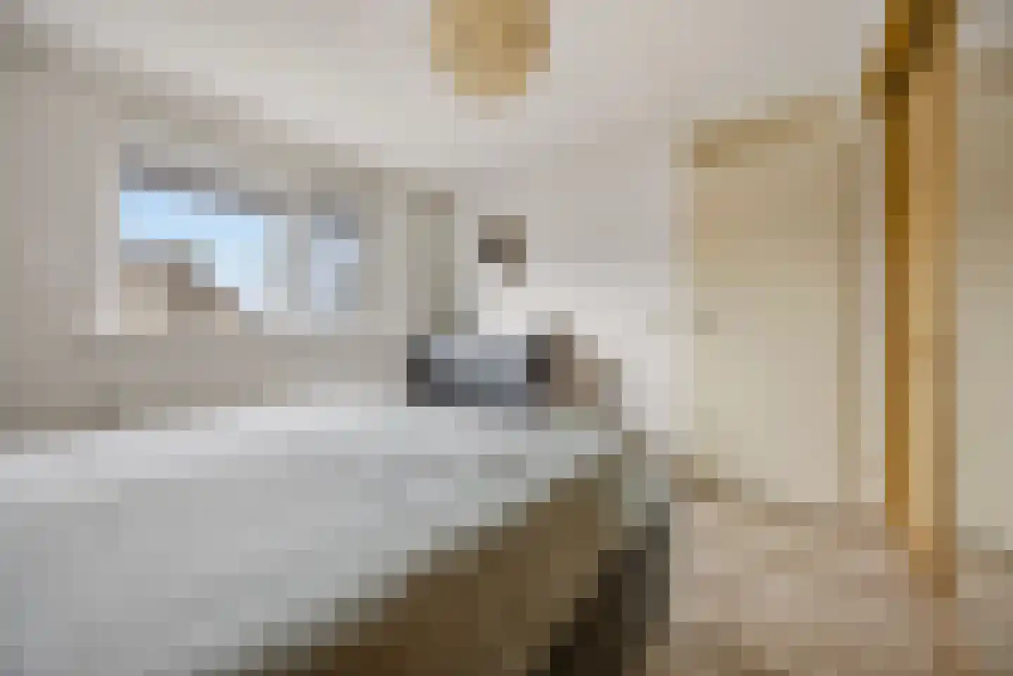 Vlasselt 3 Wagenberg thumbnail 27