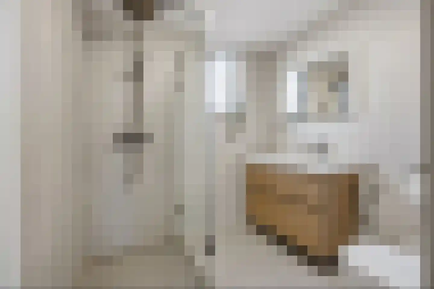 Vlasselt 3 Wagenberg thumbnail 28
