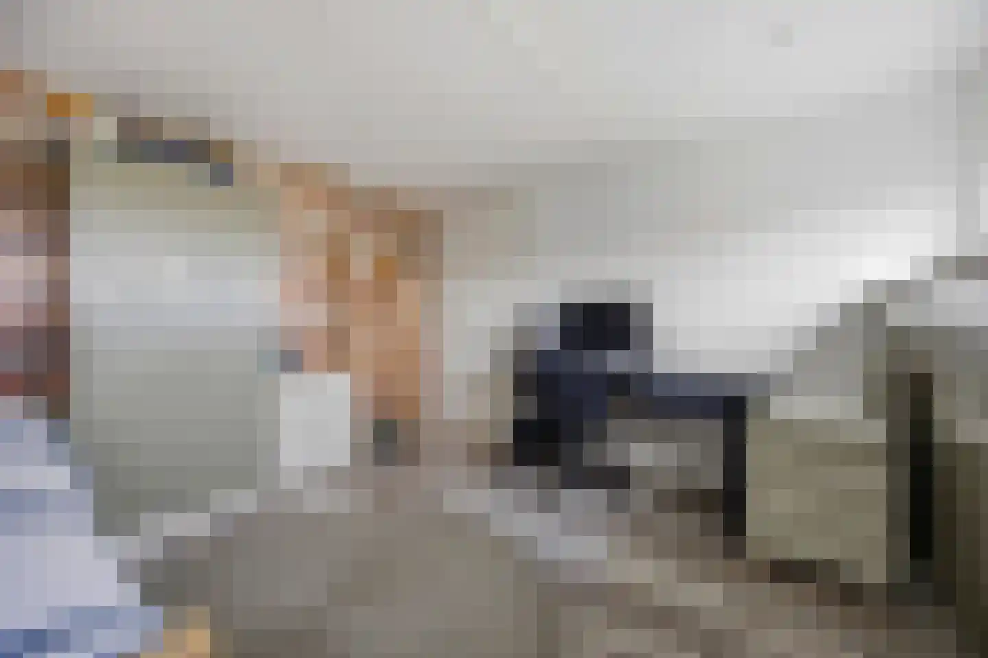 Vlasselt 3 Wagenberg thumbnail 36