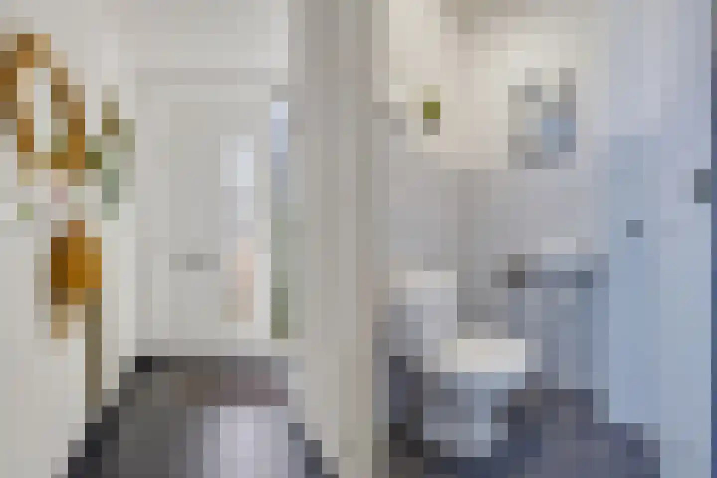 Vlasselt 3 Wagenberg thumbnail 7