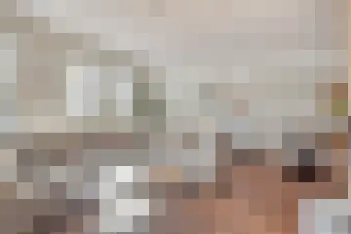 Vlasselt 31 Wagenberg thumbnail 11