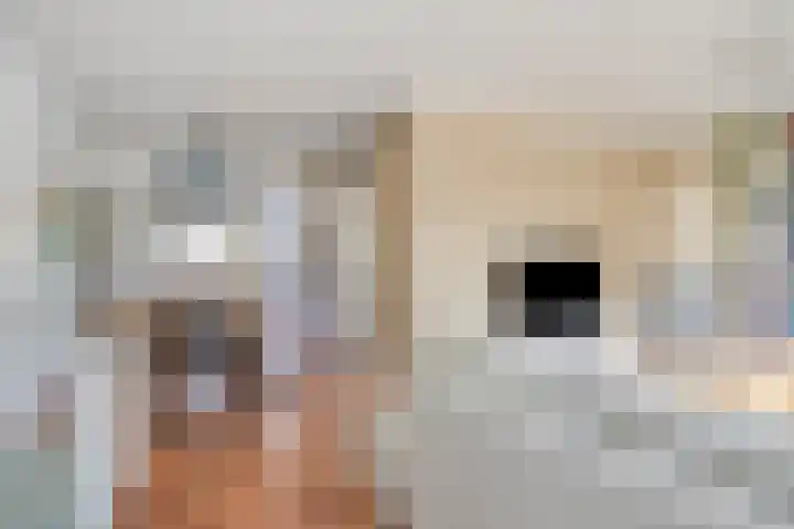 Vlasselt 31 Wagenberg thumbnail 13